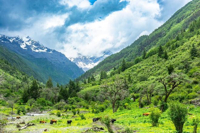 山长穿毕徒步地理手册：沉浸式穿越神山秘境mg不朽情缘游戏平台此生必走！收好四姑娘(图8)