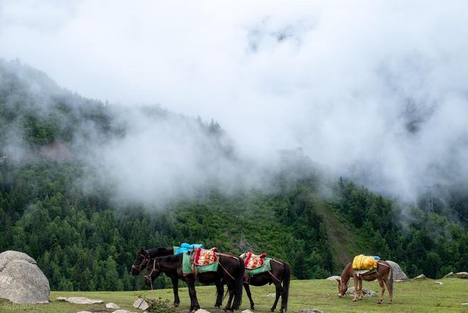 山长穿毕徒步地理手册：沉浸式穿越神山秘境mg不朽情缘游戏平台此生必走！收好四姑娘(图21)