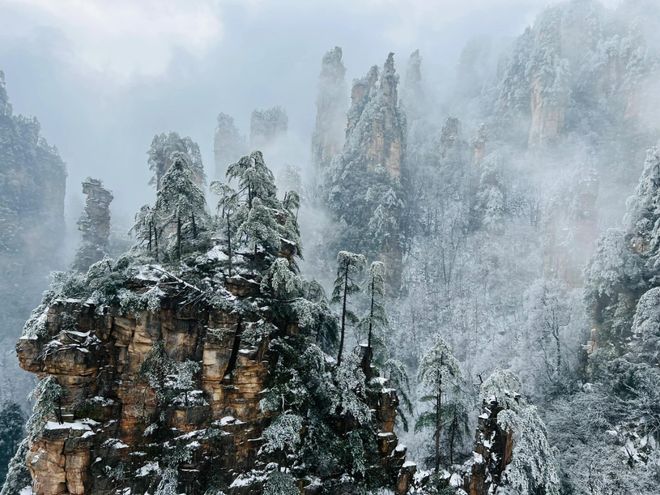 团队访谈：16个旅行场景的专业服务解码不朽情缘平台网站张家界众腾国旅玲玲导游(图5)